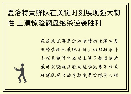 夏洛特黄蜂队在关键时刻展现强大韧性 上演惊险翻盘绝杀逆袭胜利